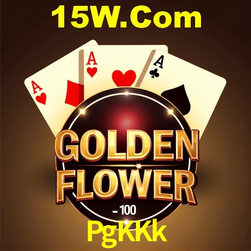 Interface Premium PgKKk